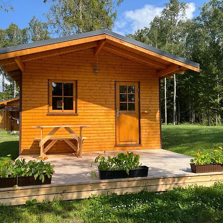 Marika Puhkekuela - Metsanurga Oeoemaja "Shared Bathroom" Nova Eksteriør bilde