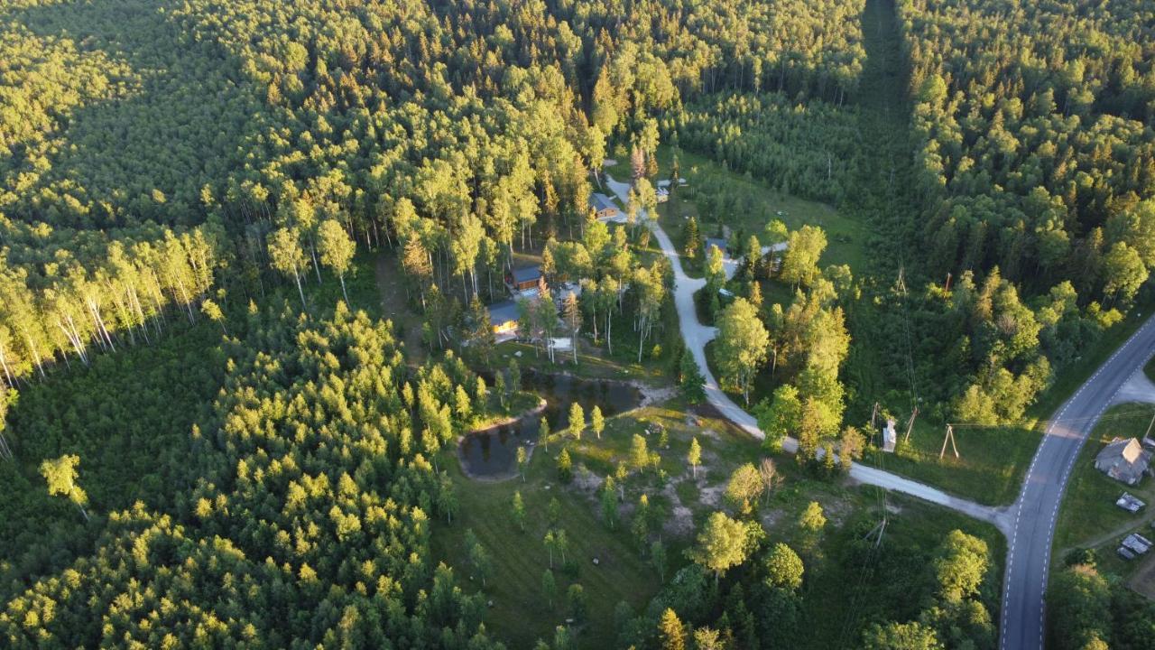 Marika Puhkekuela - Metsanurga Oeoemaja "Shared Bathroom" Nova Eksteriør bilde